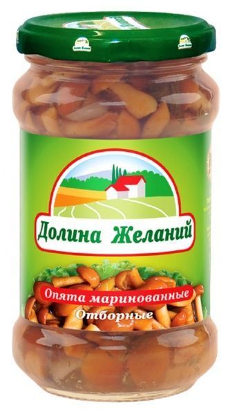 Грибы маринованные Долина желаний Опята 260 мл 314 г