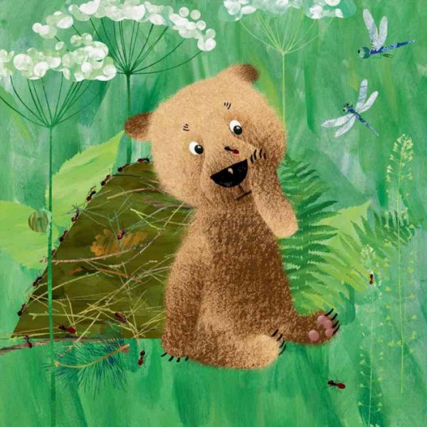 Книга Наталья Чуб «Дивовижні відкриття ведмедика Санні в лісі» 978-617-09-3655-4