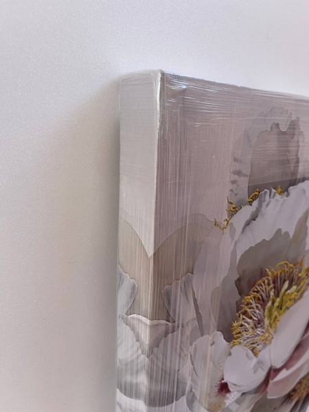 Репродукция Белые пионы 50x50 см Арт Фемелі 