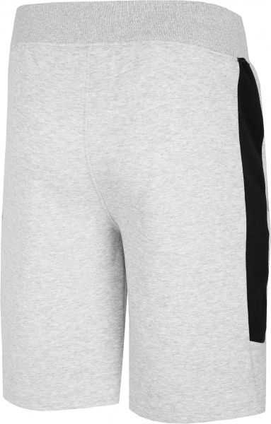 Шорти 4F H4L20-SKMD002-27M р. M світло-сірий