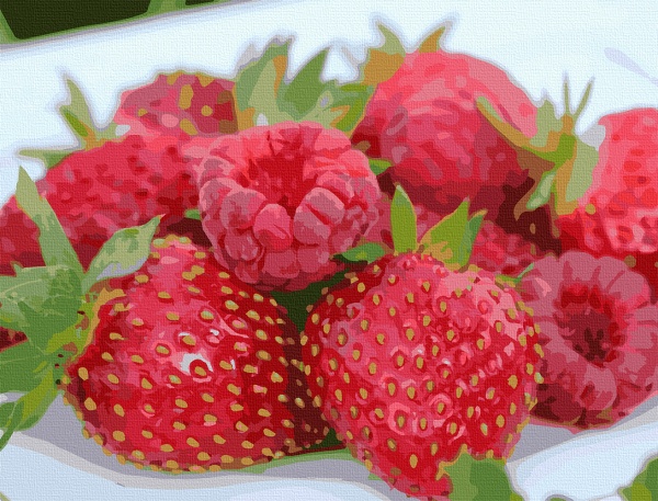 Картина за номерами Соковитий феєрверк 12004-AC 40х50 см ArtCraft 