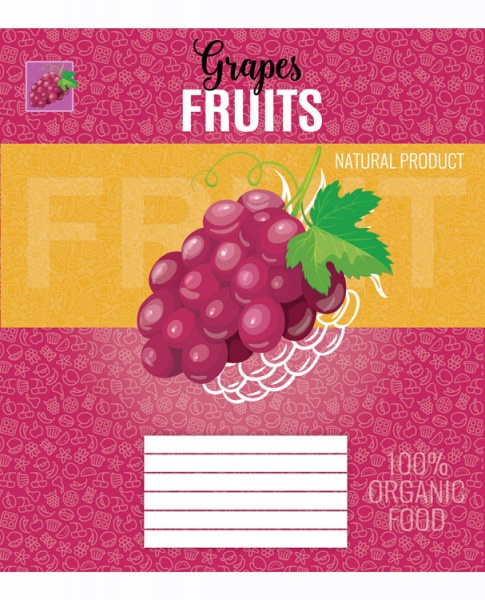 Зошит шкільний 12 аркушів у лінійку дизайн в асортименті Мрії збуваються