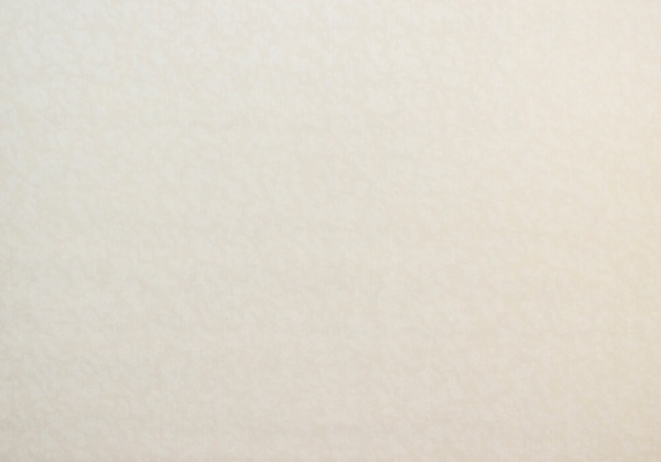 Обои виниловые на флизелиновой основе Vinil Зан ДХН-1425/2 1,06x10,05 м 