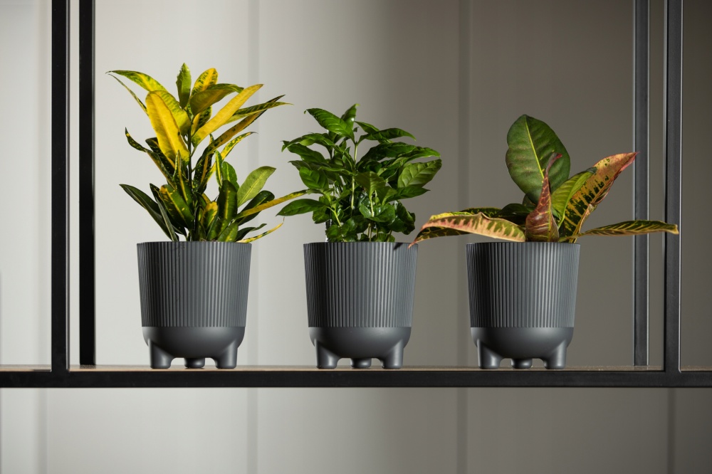 Вазон пластик ARIA jumper круглый кремовый 2,4 л Ламела (9742264)