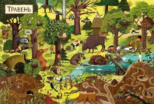 Книга Эмилия Дзюбак «Рік у лісі» 978-617-679-278-9