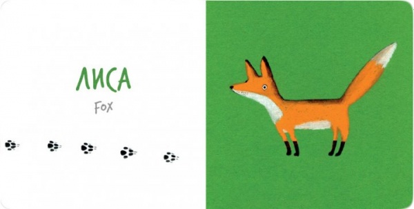 Книга Катерина Таберко «Лесные животные» 978-617-7395-30-9