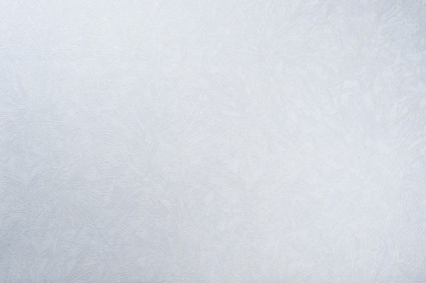 Обои из вспененного винила Vinil Фиджи декор ДХС-1480/1 1,06x10,05 м 