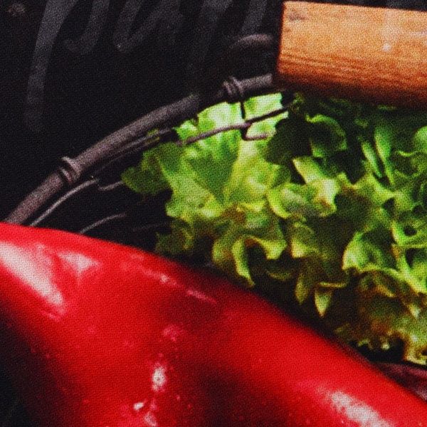 Полотенце кухонное Vegan 50x70 см Lasa разноцветный 