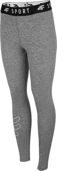 Лосини 4F NOSH4-SPDF001-25M XL сірий