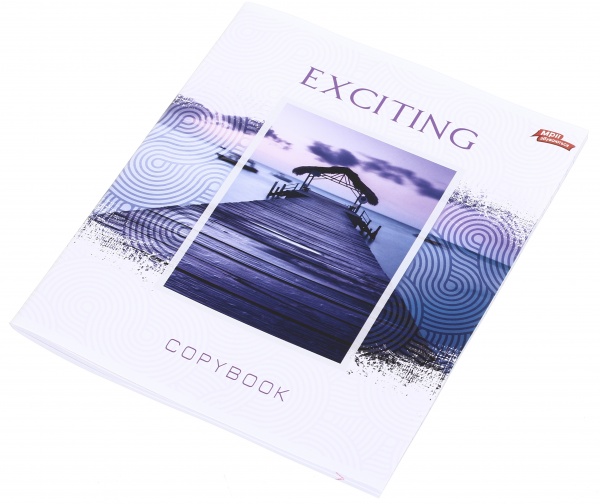 Тетрадь школьная 18 листов в клеточку в ассортименте Мечты сбываются