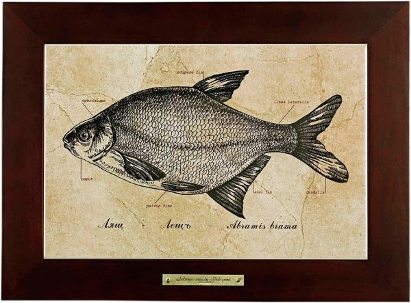 Картина Fish-Point 