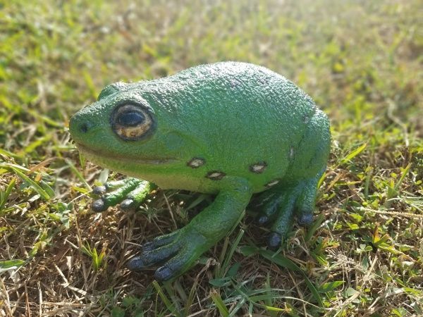 Іграшка Lanka Novelties Жаба зелена деревна 22 см 21554 