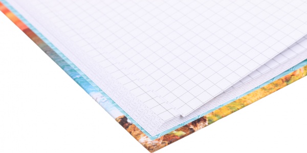 Книга учета Престиж А4 96 листов в ассортименте Аркуш