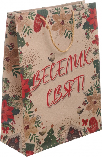 Пакет подарунковий XLL-1 ЕКО НР