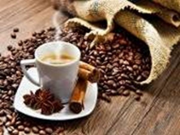 Набір для творчості зі стразами на підрамнику Кава з корицею 40х50 см Діамантові ручки 