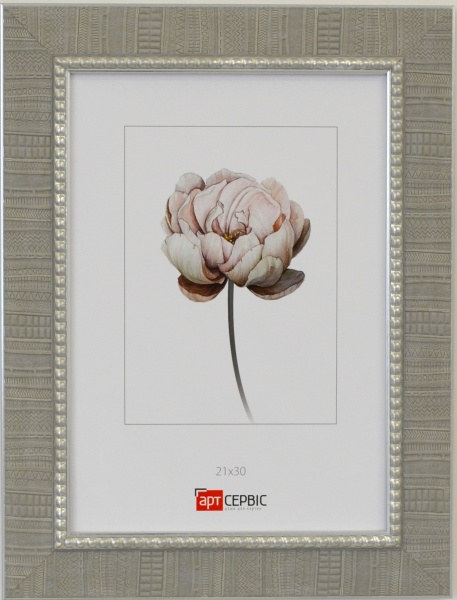 Рамка для фото Арт-Сервіс ЕА-01815 1 фото 21х30 см сірий зі сріблястим 