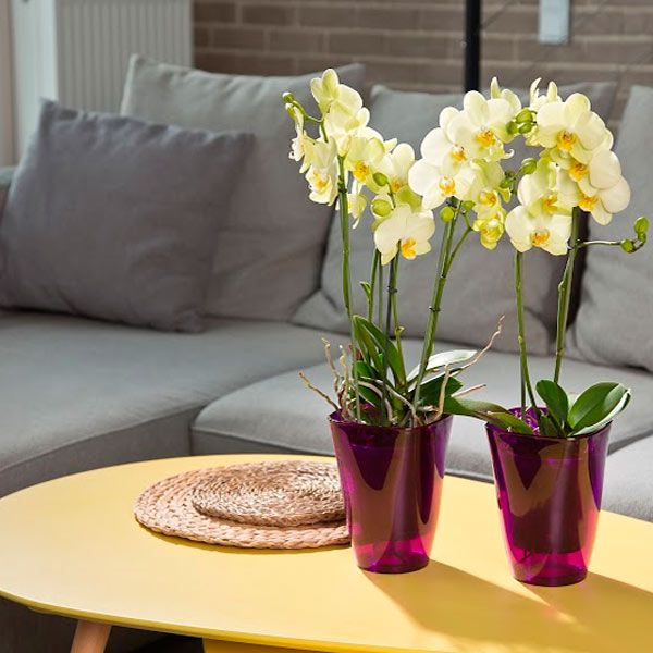 Кашпо пластикове Lamela Флора квадратний 2,7л червоний (378) 