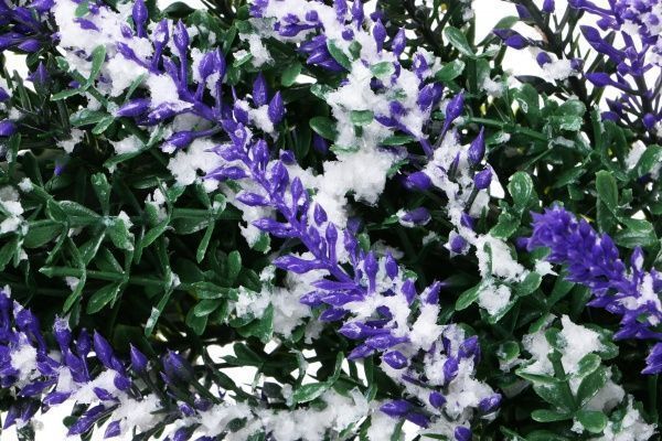 Венок декоративнный Лаванда