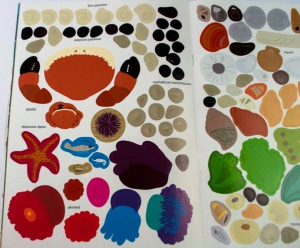 Книга «Моя книга природы: На берегу моря» 978-617-09-4102-2