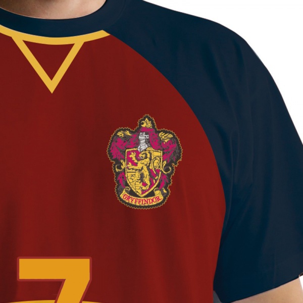 Футболка для мальчиков Harry Potter Maillot de Quidditch р.170-176 красный ABYTEX371M 
