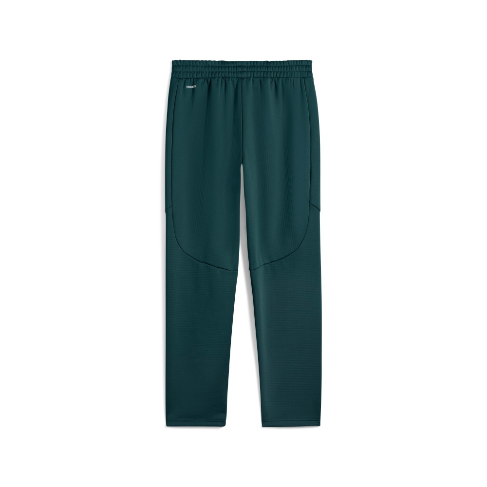 Штани Puma EVOSTRIPE Warm Pants 68823975 р. M синій