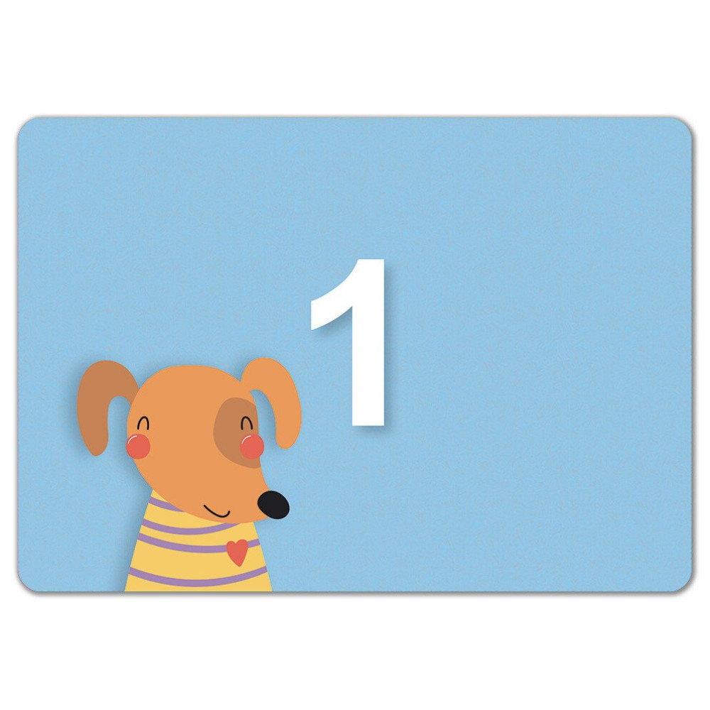 Карточки обучающие «Ранній розвиток. Картки Пиши-стирай. Цифри та фігури» 978-966-751-319-1