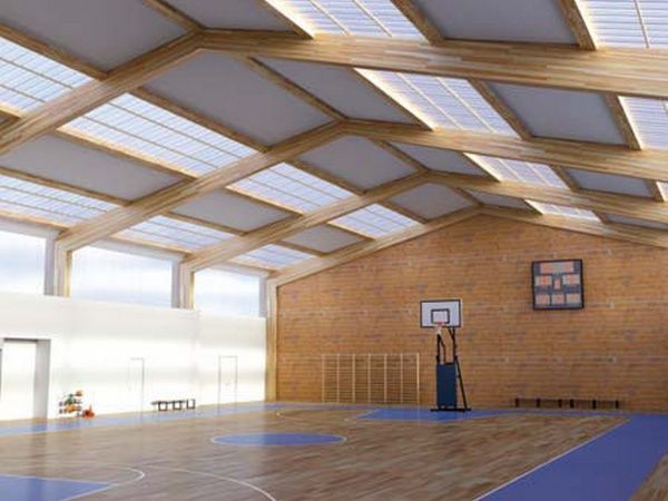 Поликарбонат сотовый PALRAM Onduclair 10 мм 1050x2000 мм бронзовый