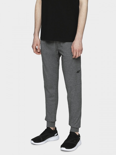 Штани 4F H4L21-SPMD012-23P р. 2XL темно-сірий