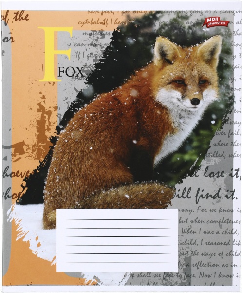 Зошит шкільний 60 аркушів у клітинку в асортименті Мрії збуваються