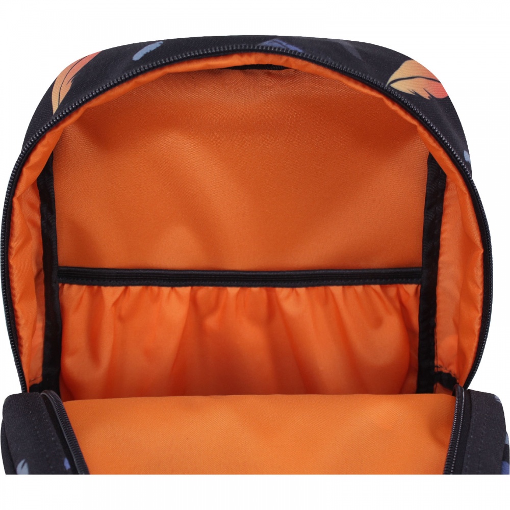 Рюкзак школьный Bagland City Перья 8 л 508664 суб. 853