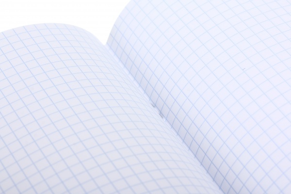 Тетрадь школьная серебро 4 листов в клеточку в ассортименте Мечты сбываются