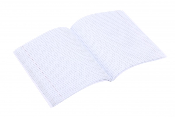 Тетрадь школьная 96 листов в клеточку в ассортименте Мечты сбываются