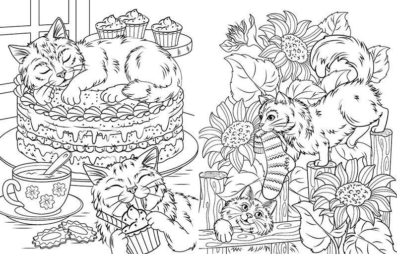 Книга Юлия Каспарова «Велика книга розмальовок: Коти та собаки» 978-617-09-7221-7