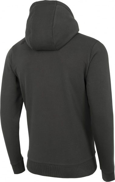 Джемпер 4F NOSD4-BLM300-24S р. L сірий