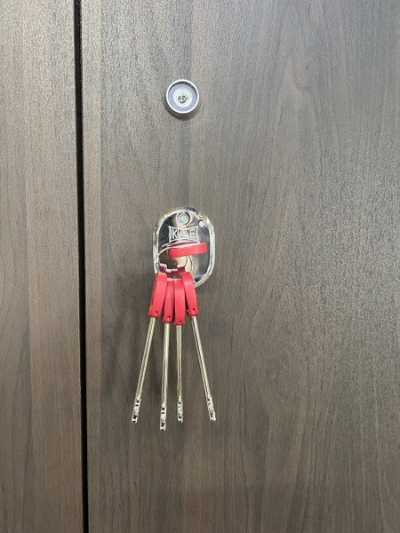 Двері вхідні Мавіс T-10 Lux вишня темна 2050x1200 мм праві