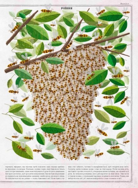 Книга Петр Соха «Бджоли» 978-966-915-239-8