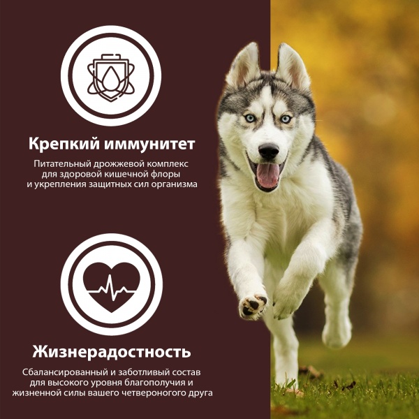 Корм сухой для собак для всех пород German Shephy Gold Turkey Индейка и картошка 10 кг