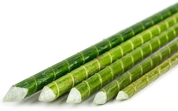 Опора для растений LIGHTgreen композитная 10мм (90см)