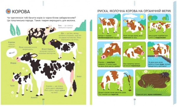 Книга Сесиль Югла «На ферме. Энциклопедия для любознательных» 978-617-7820-38-2