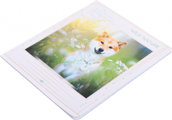 Тетрадь школьная 24 листа в линию УФ-лак в ассортименте