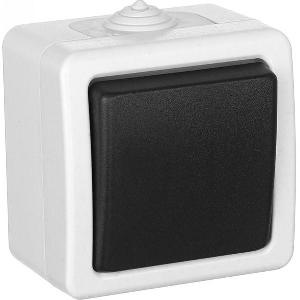 Вимикач вологозахищений одноклавішний Титан без підсвітки 10 А 220В білий із чорним 88619