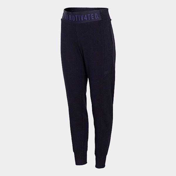 Брюки 4F H4L21-SPDD013-31S р. XL темно-синий