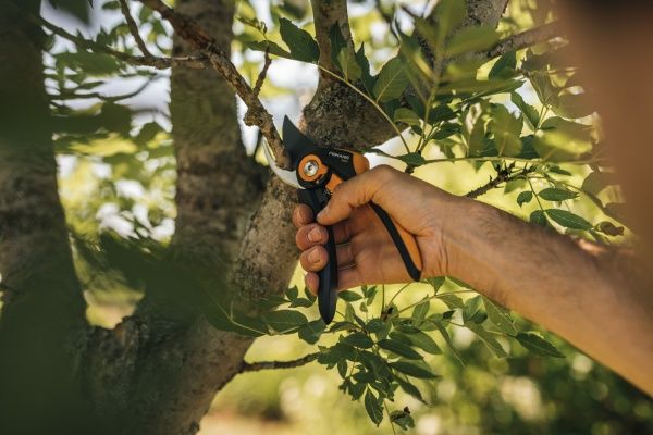Секатор площинний Fiskars Plus SmartFit P541 (1057169) 