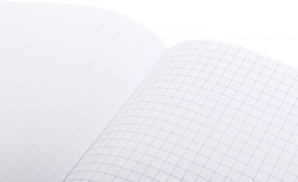 Блокнот 60 листов клетка А5(200х140) Бл-А5-60-ТК-КЛ Mandarin