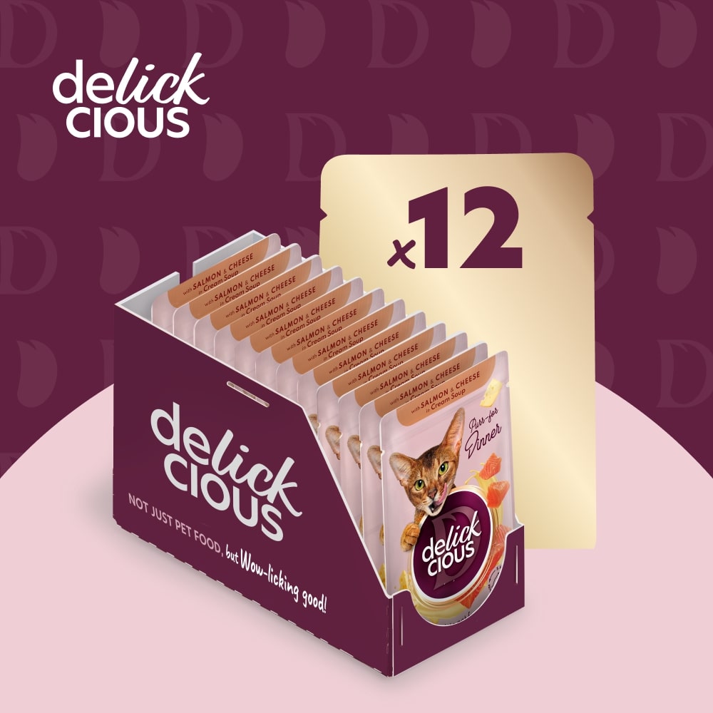 Корм влажный DELICKCIOUS «Полоски с лососем и сыром в крем-супе» 85 г