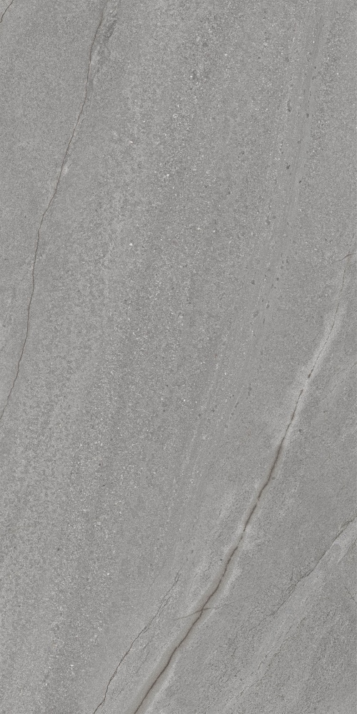 Плитка Allore Group Silva Grey F P Sumat 60х120 см