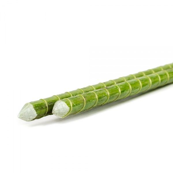 Опора для растений LIGHTgreen композитная 10мм (180см)