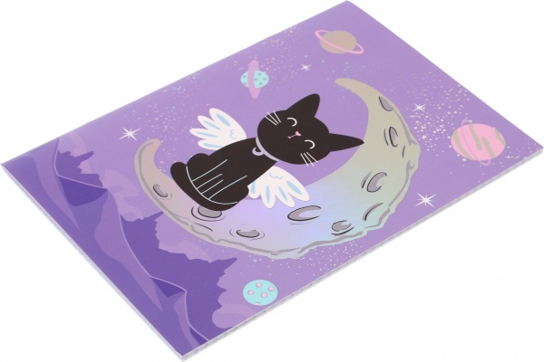 Набор книг Котик-ангелочек на месяце 32 листа 2 шт.