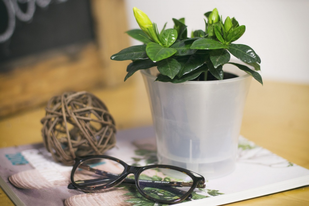 Вазон пластик Arte круглий антрацит із білим 2 л Santino (2016317)