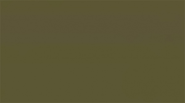 Заправка для маркера Refill Ink темний оливковий EF900-21 FINECOLOUR